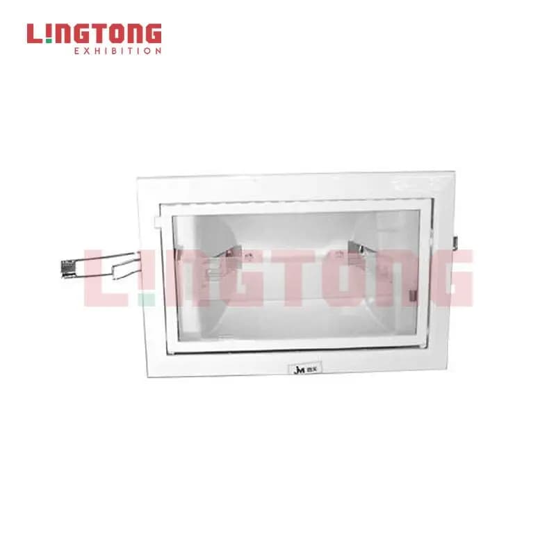 LT-DG303 Metal Halogen Lamp