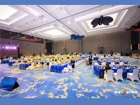 MCES0002 Convention and Exhibition Cultural Festival System Decoration
