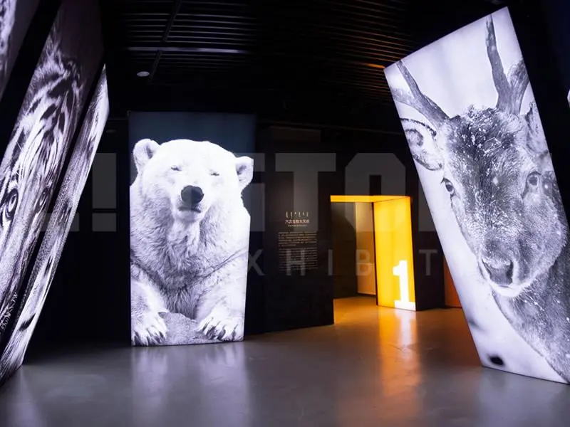 Take you to understand the common design styles and principles of the Exhibition Booth
